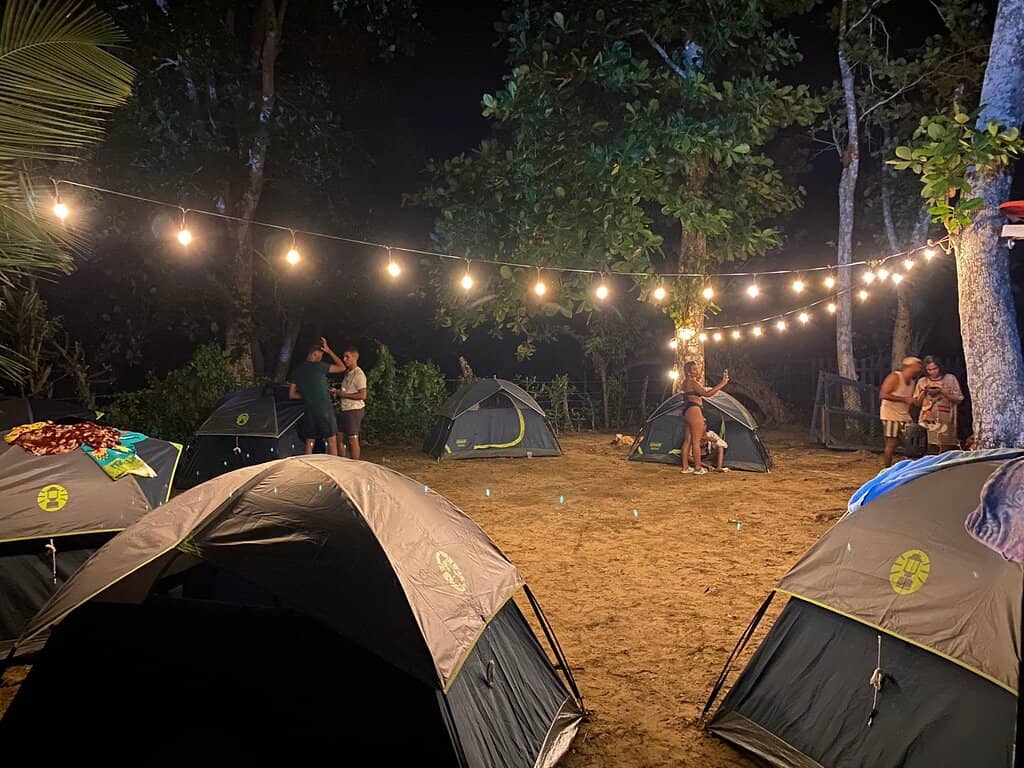 Starry Night Camping