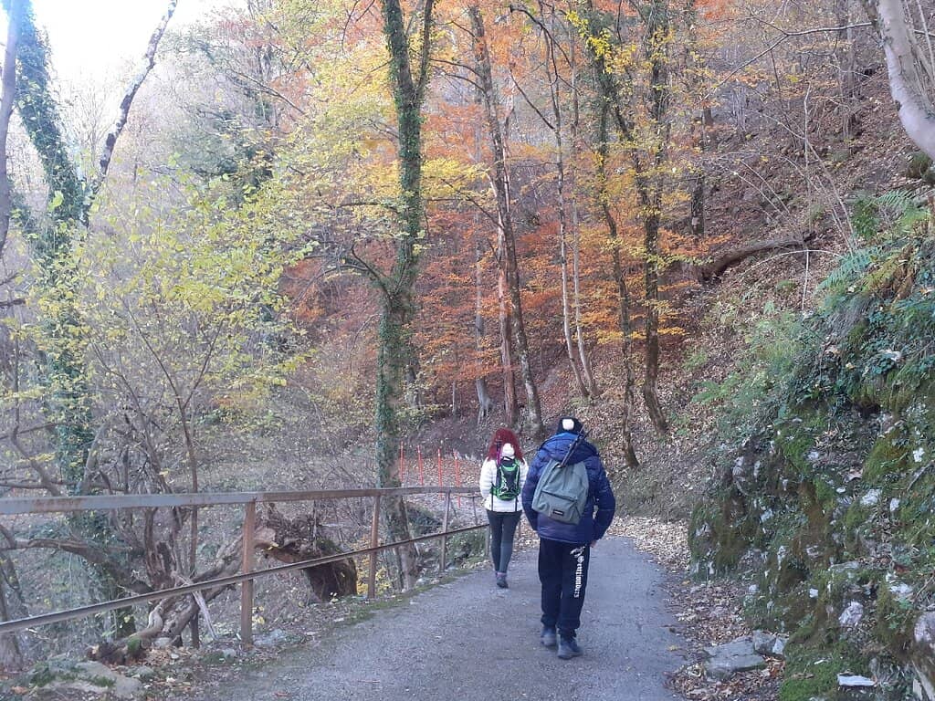 Cogwheel Railway Journey