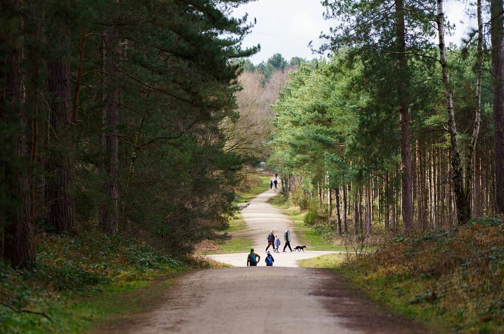 Playgrounds & Picnic Spots