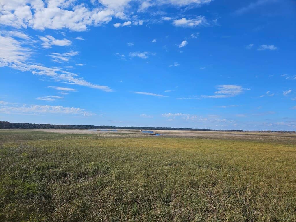 The Buoy Wall Photo Spot