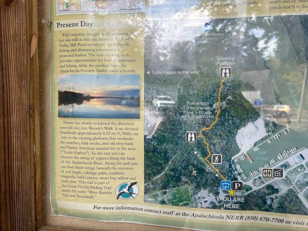 Fish Cleaning Station