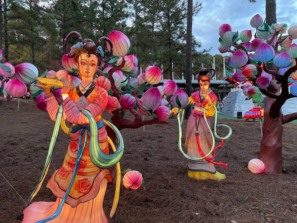 Live Concerts Under the Stars