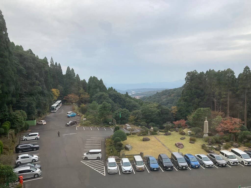 Hundred-Year Cedar Garden