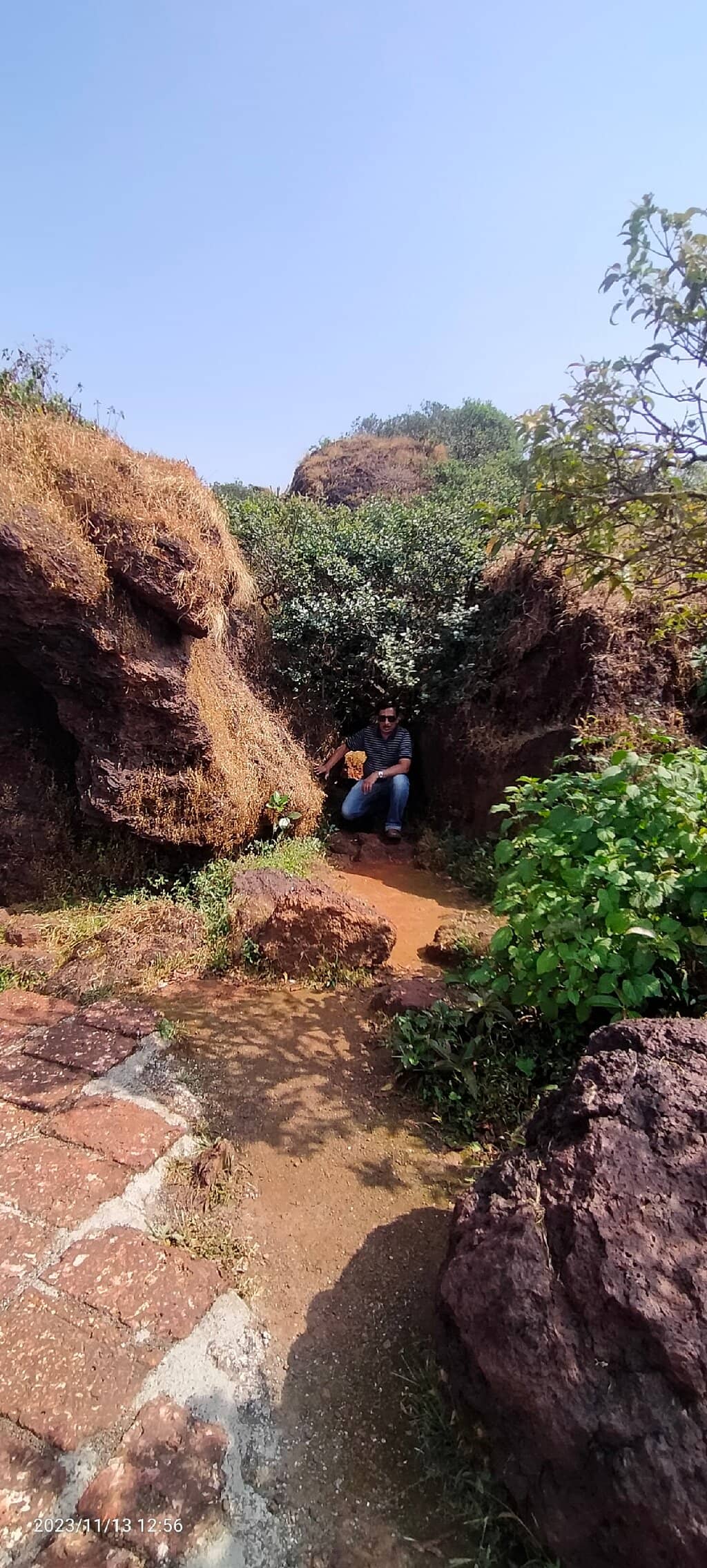 Accessible Nature Walk