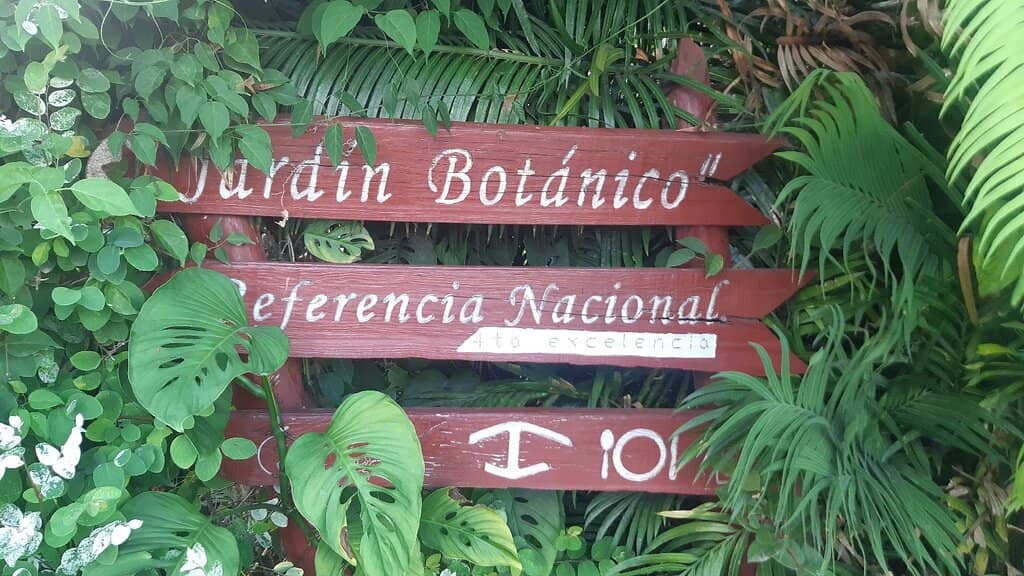 Informative Guided Tours