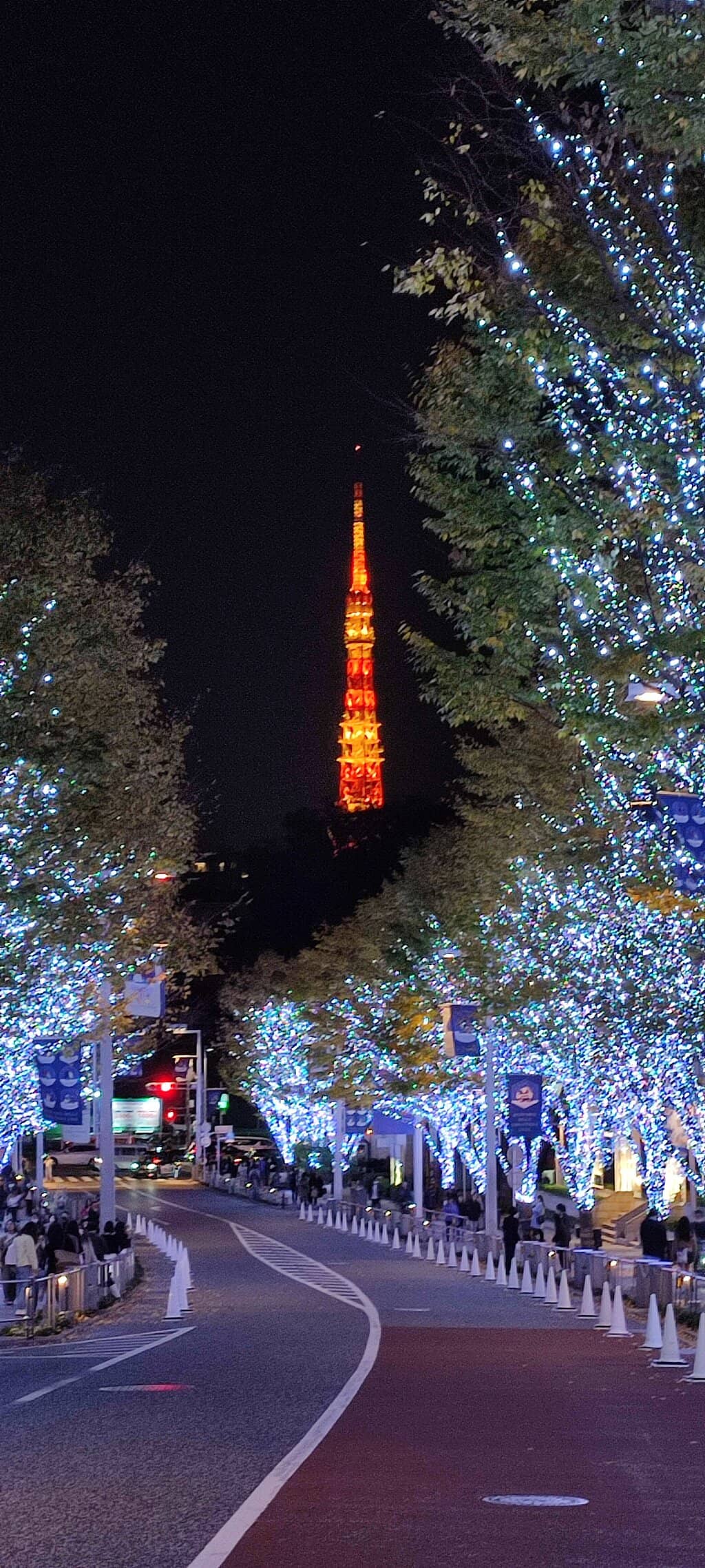 Winter Illuminations