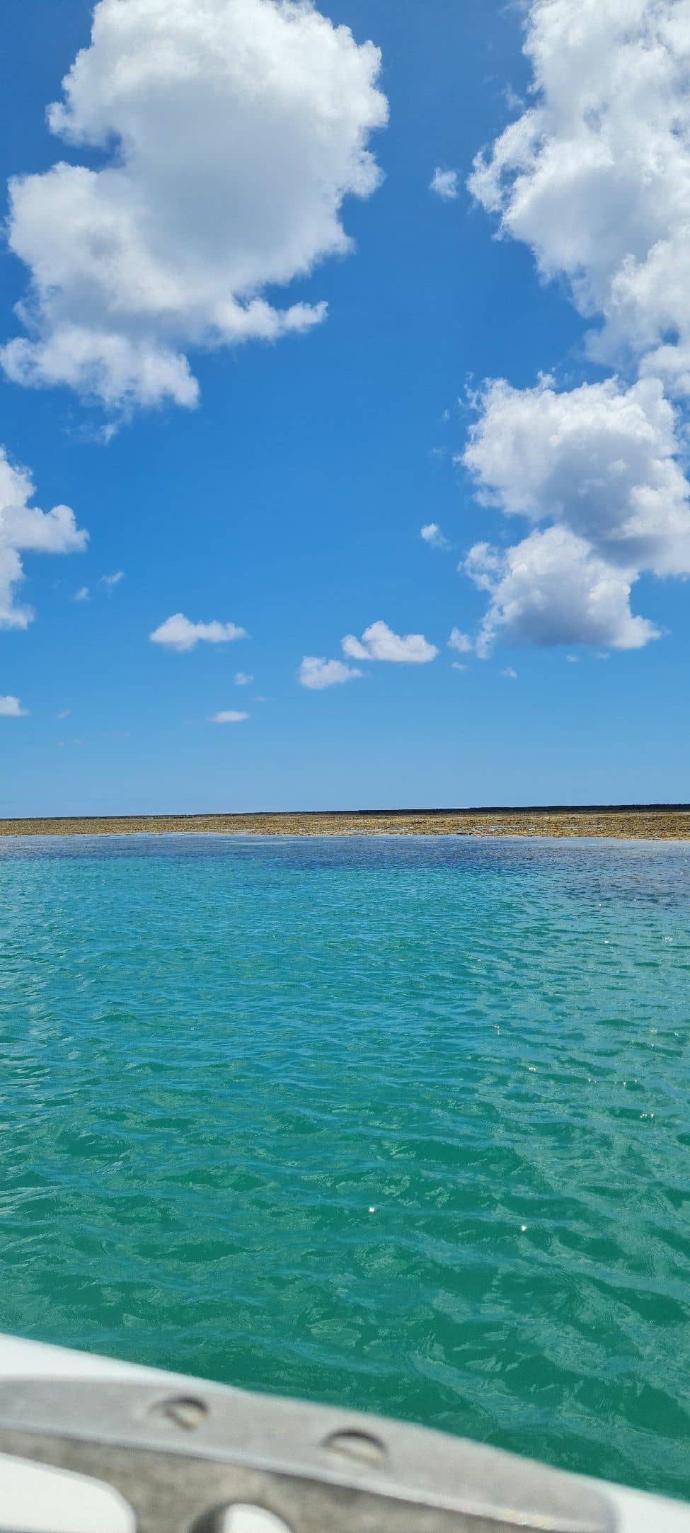 Scenic Boat Rides
