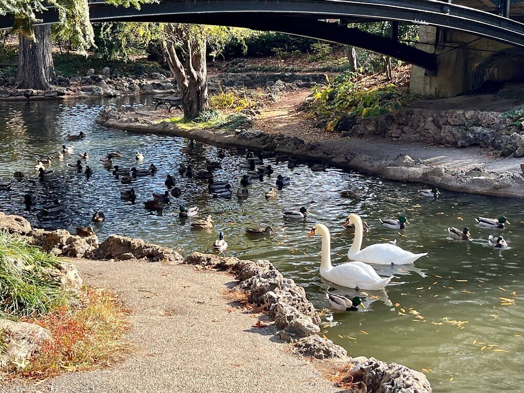 Clementine's Creamery