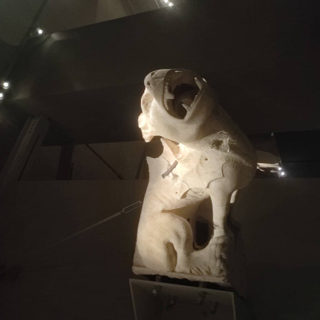 Vertical photo