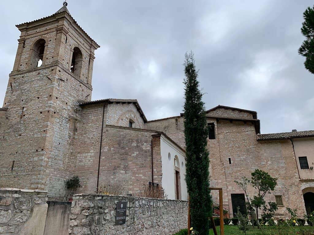 Ancient Holm Oak Forest