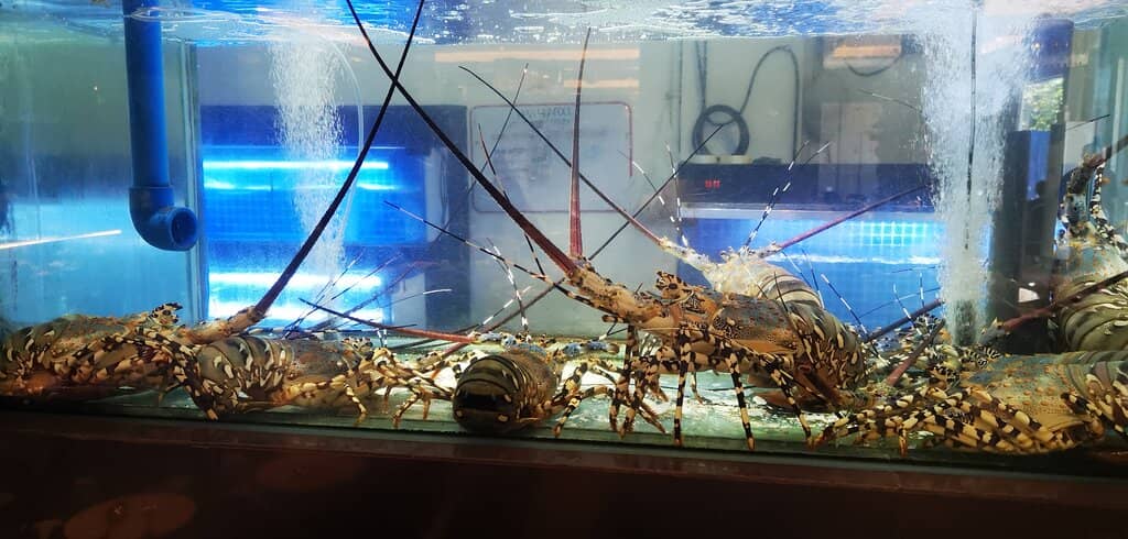 Spacious Setting for Celebrations