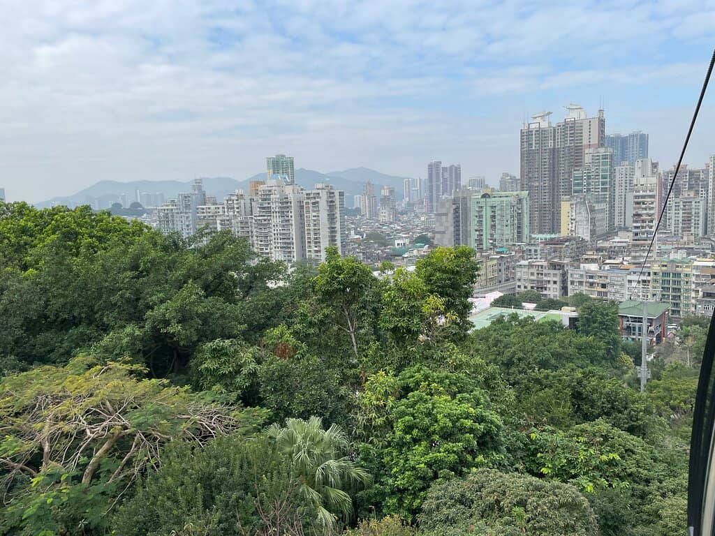 Panoramic City Views