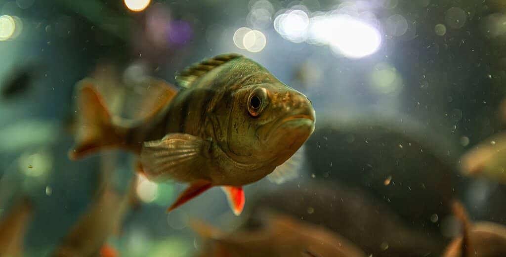 Children's Workshop Rooms