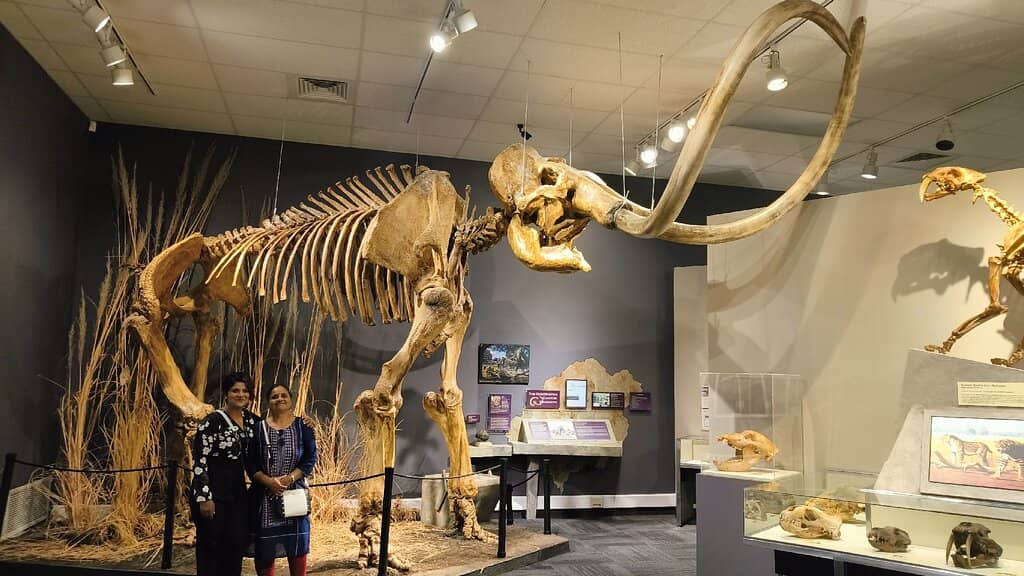 Anthropological Exhibits