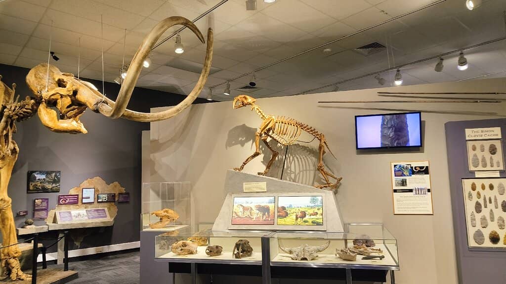 Natural History Galleries