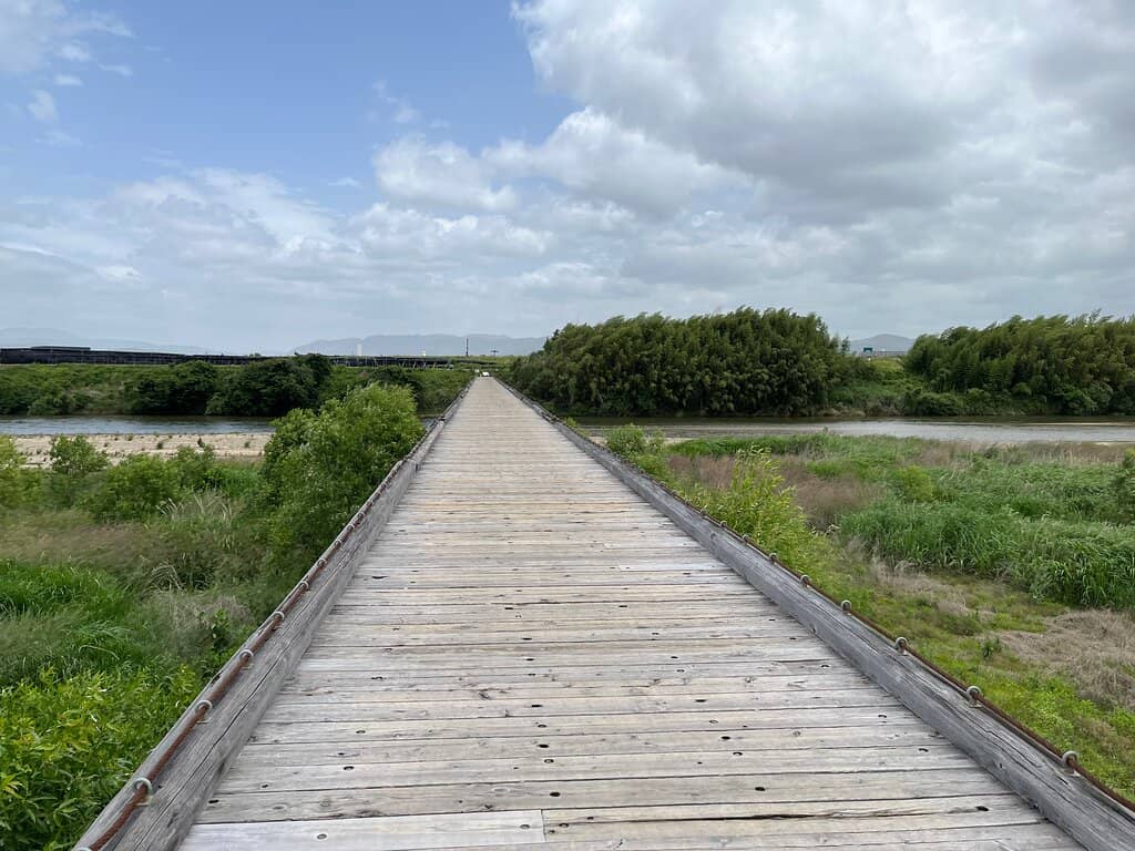 Surrounding Tea Plantations