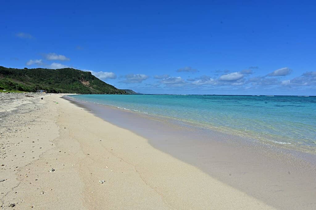 Beachside Relaxation
