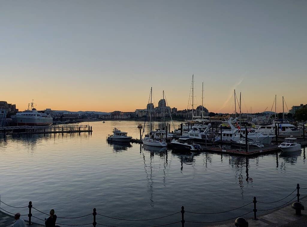 Fresh Seafood Delights