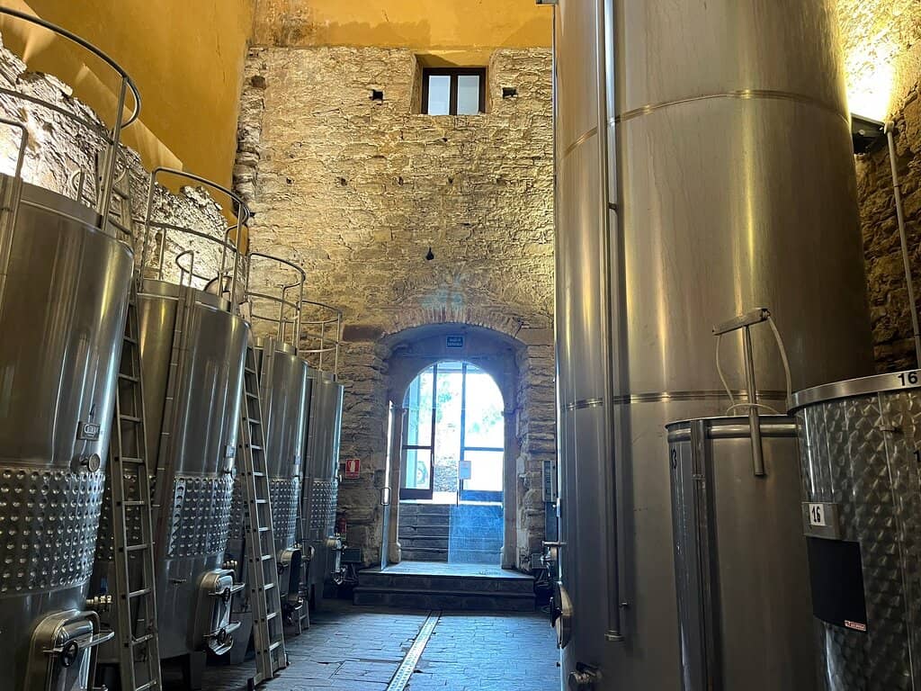 Ronda's Up-and-Coming Wines