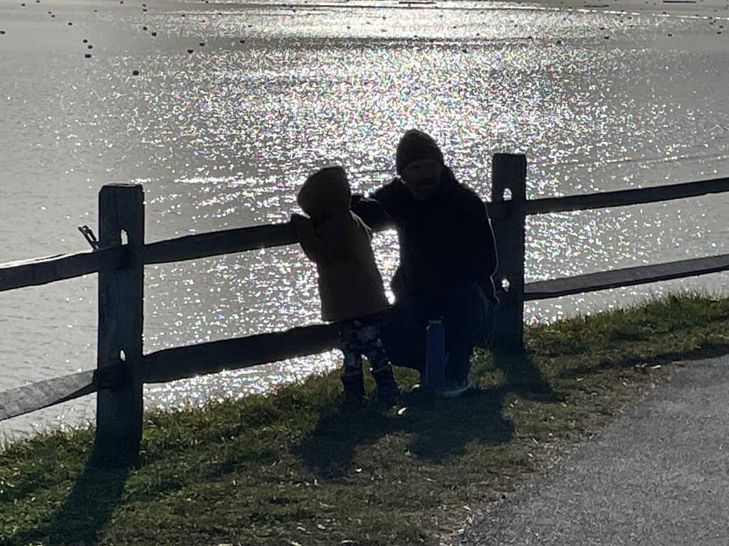 Dog-Friendly Park