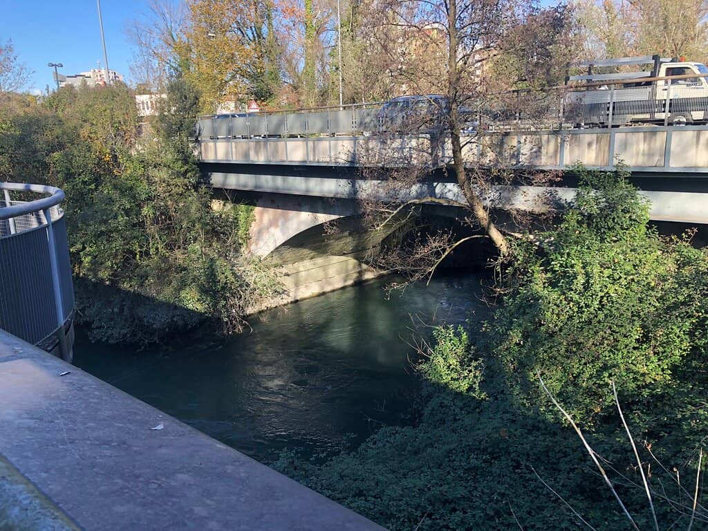 Vertical photo