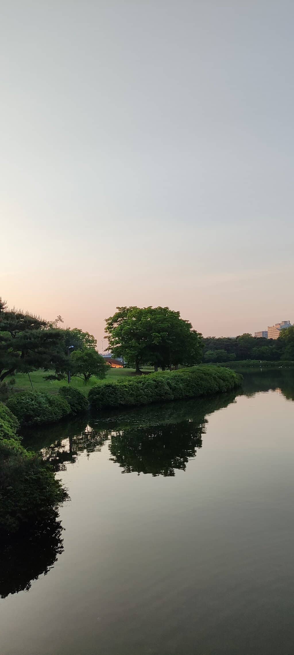 Serene Lakeside Strolls