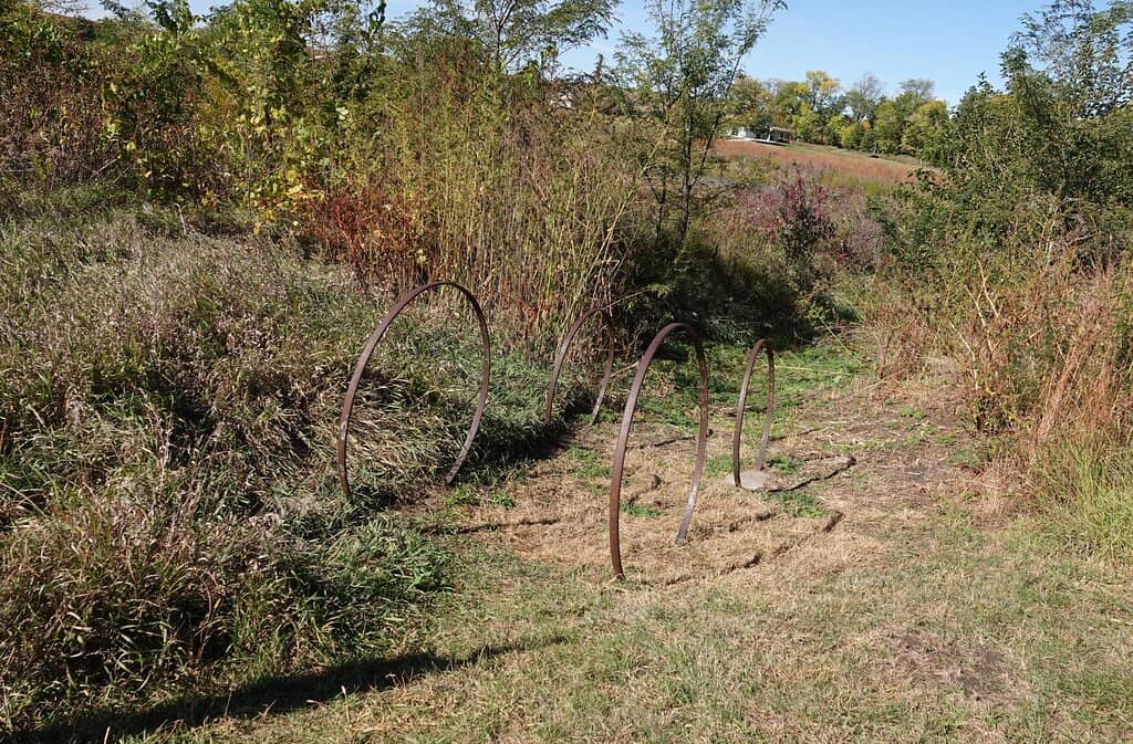 Native Flora & Wildflowers