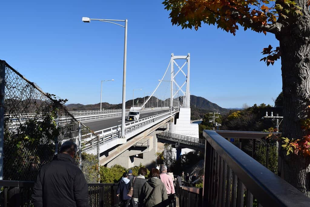 Panoramic Island Vistas