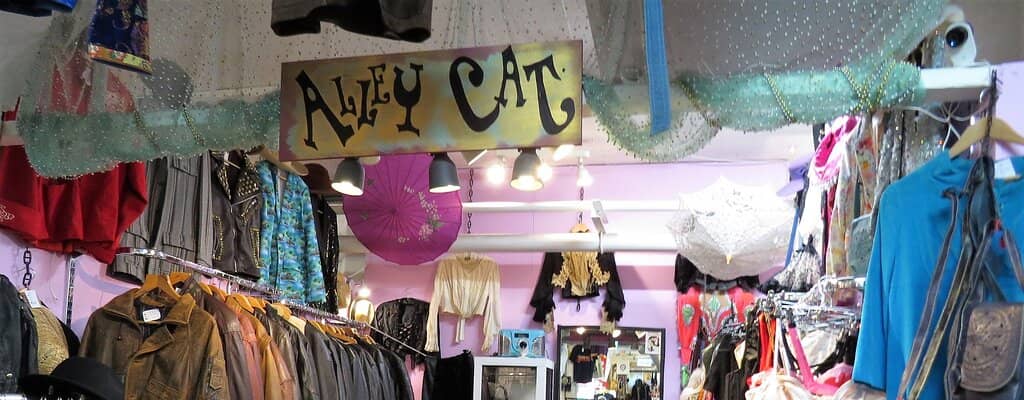 Global Street Food Feast