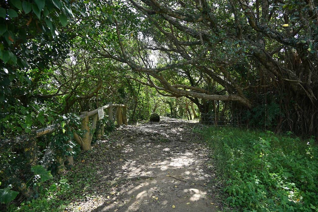 Panoramic Island Views