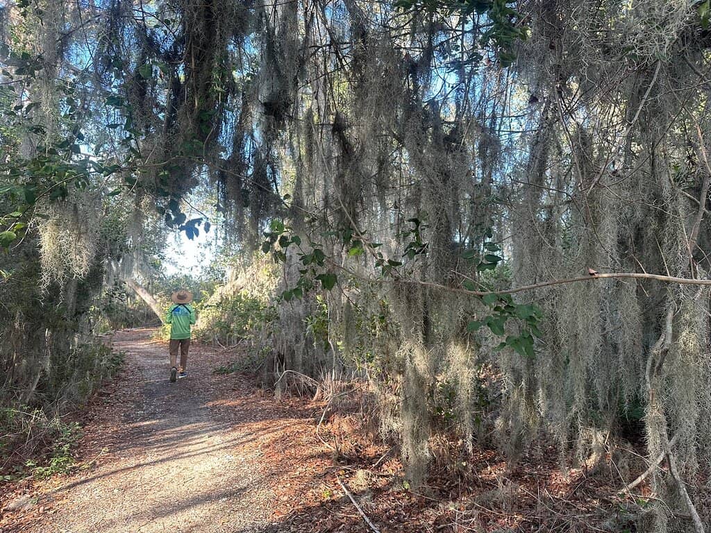 Scenic Boardwalks & Trails