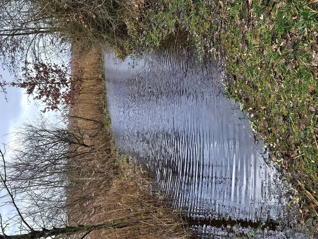Tranquil Waterways