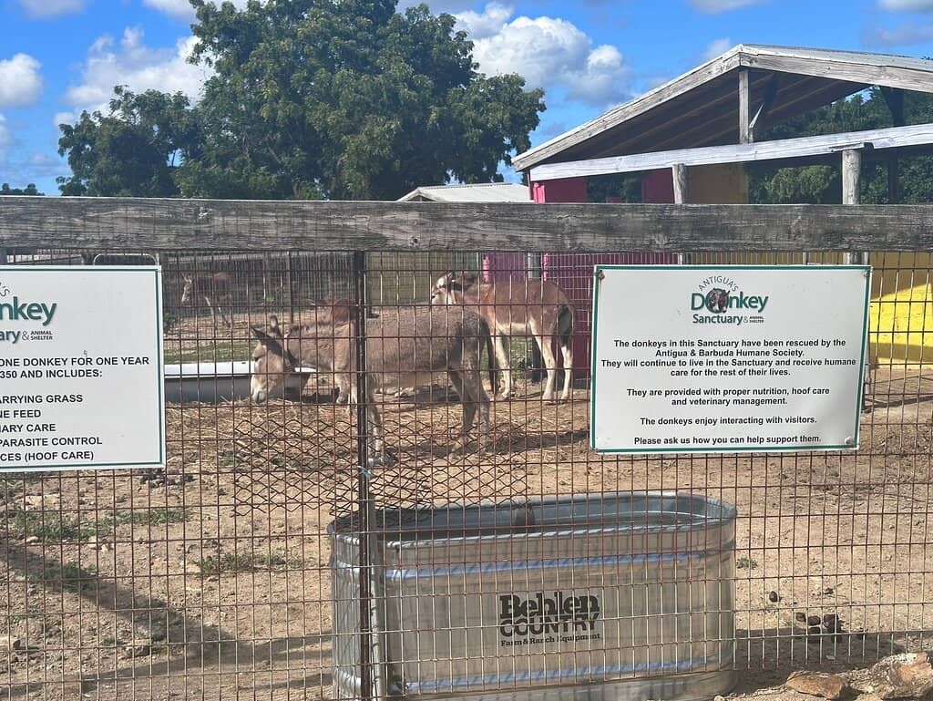 Second-Hand Bookshop