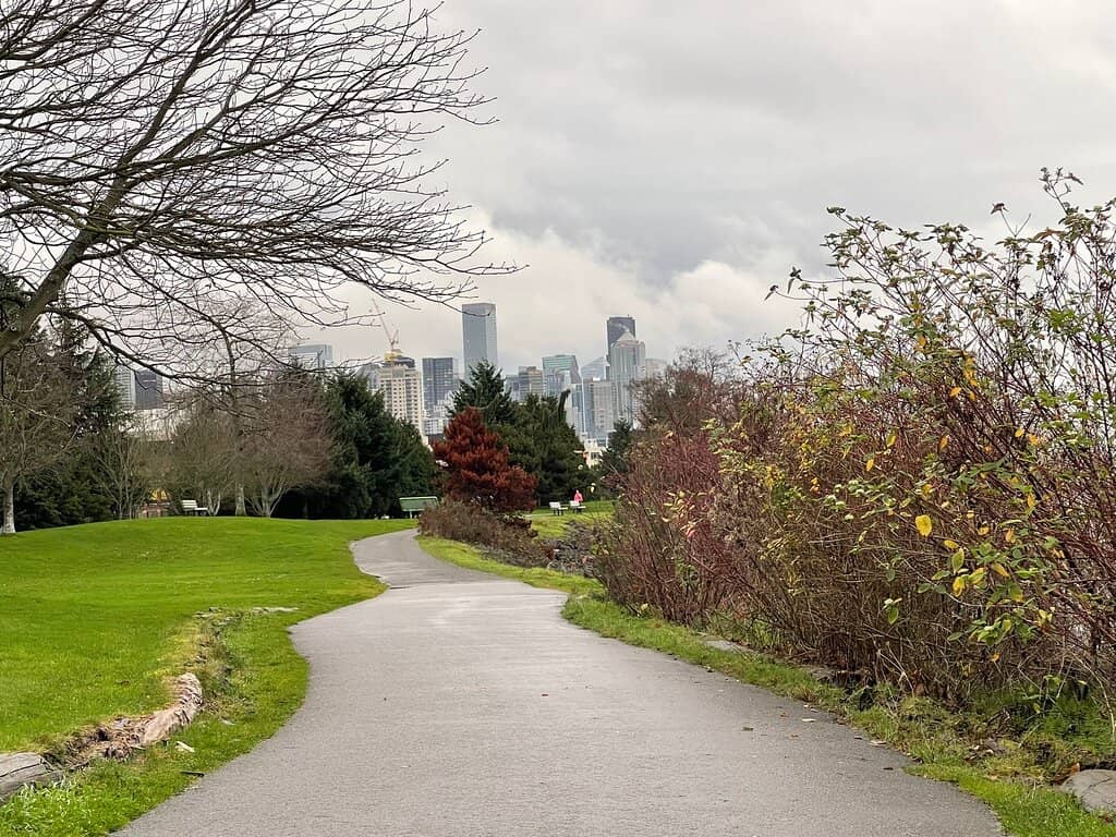 Downtown Seattle Skyline