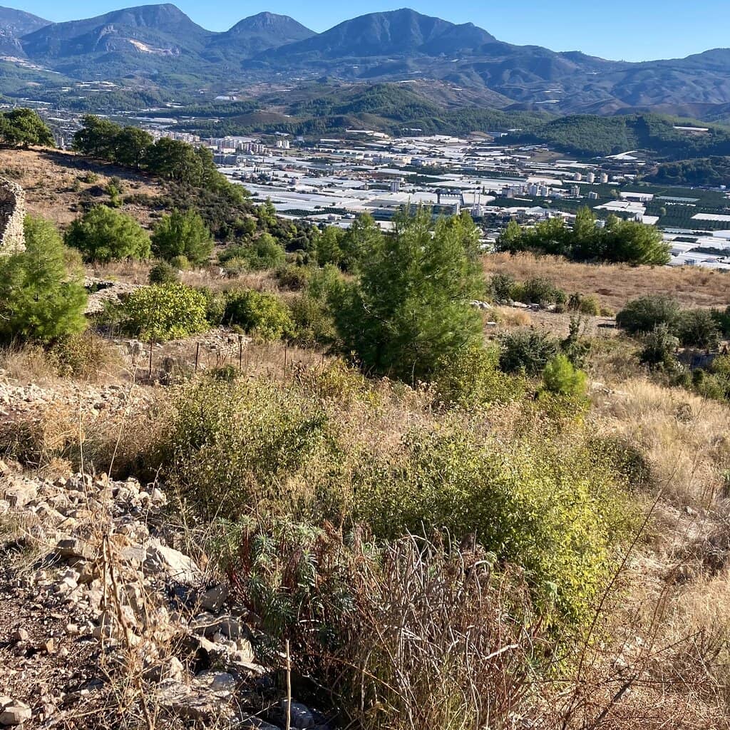 City Walls and Gates