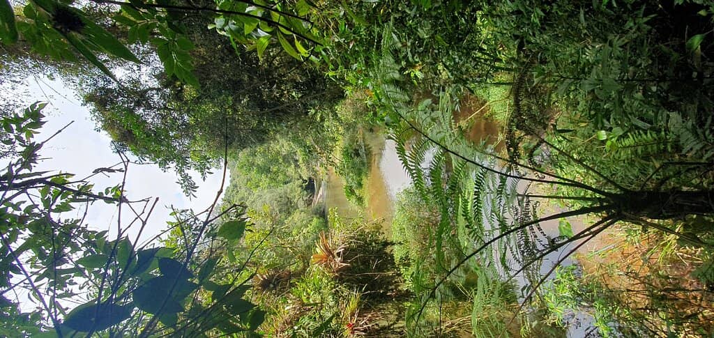 Well-Maintained Trails