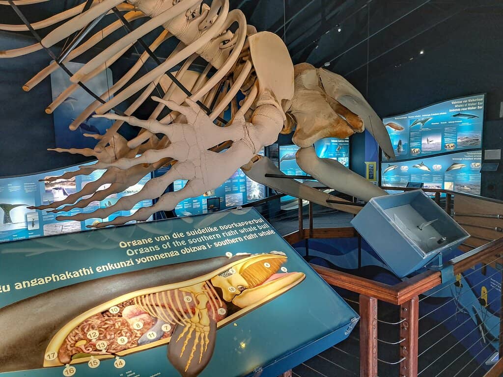 Old Harbour Museum