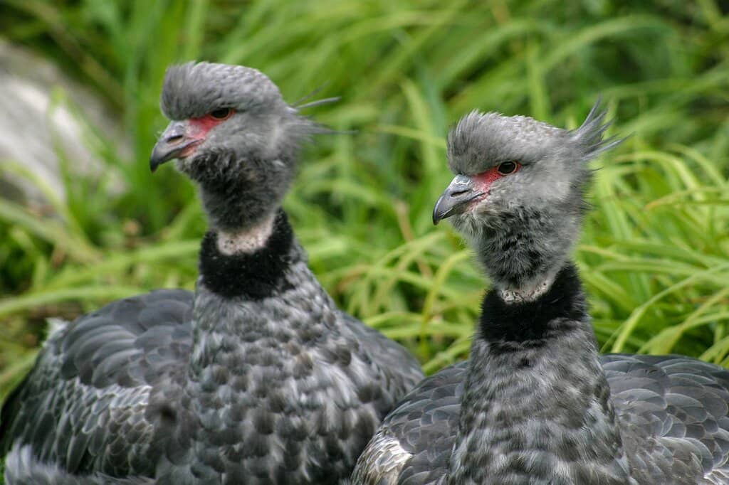 Bird Hides & Wildlife Trails