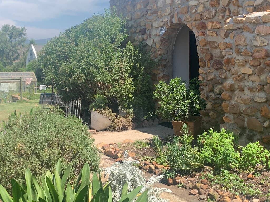 Wine Tasting Experience