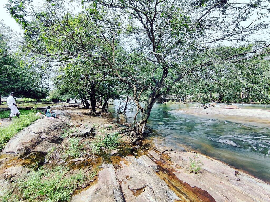 Thamirabarani River Bath
