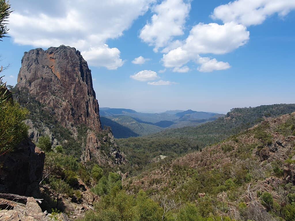 The Bluff Summit