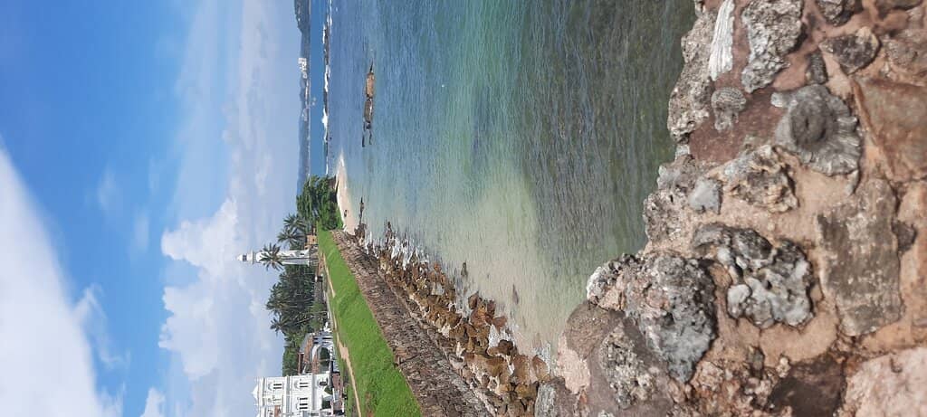Vertical photo
