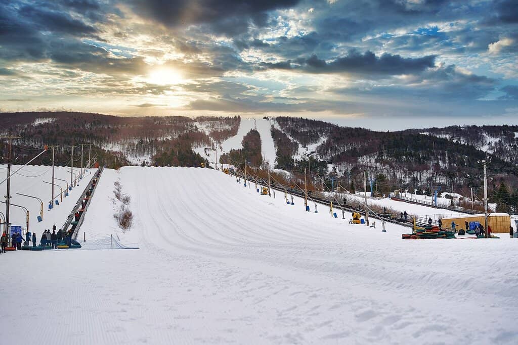 AGORA: Path of Light