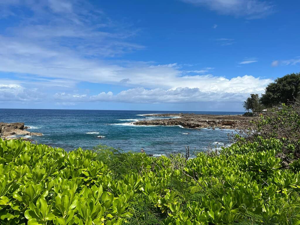 Vibrant Tidal Pools