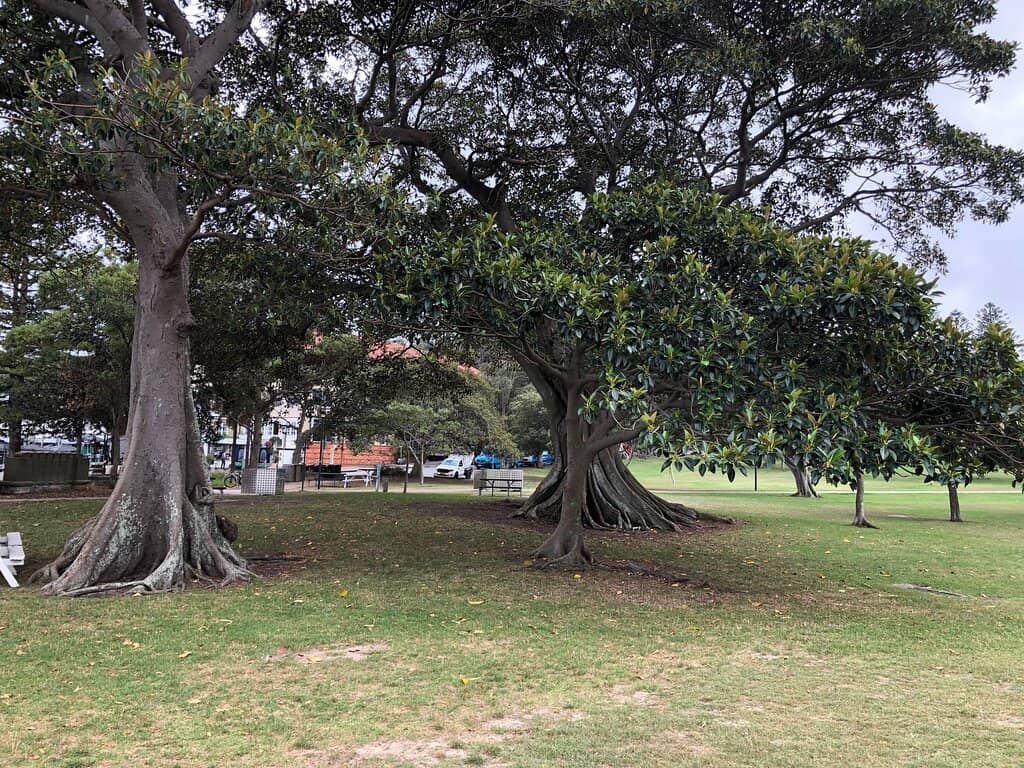 Picnic & Relaxation Spot