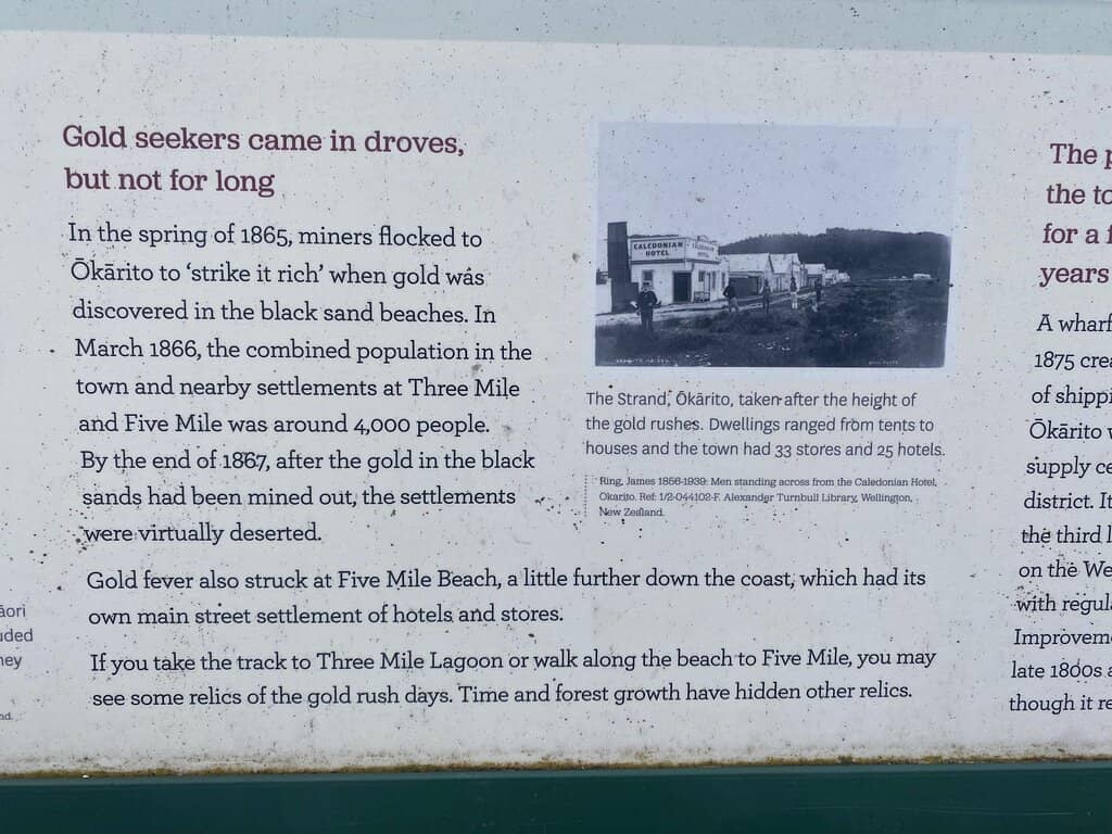 Native Rainforest Trail