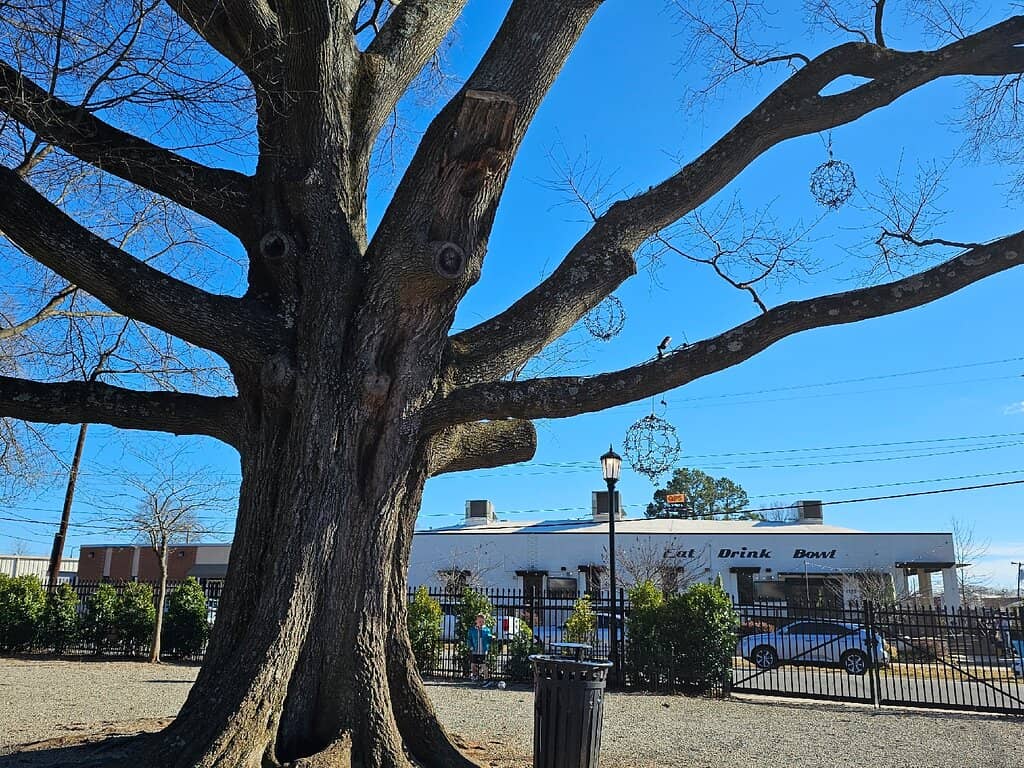 Seasonal Festivities