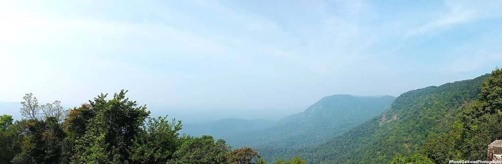 Enchanting Foggy Mornings