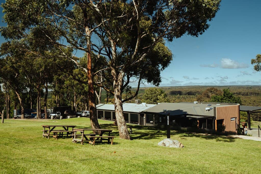 Wine Tasting Experience