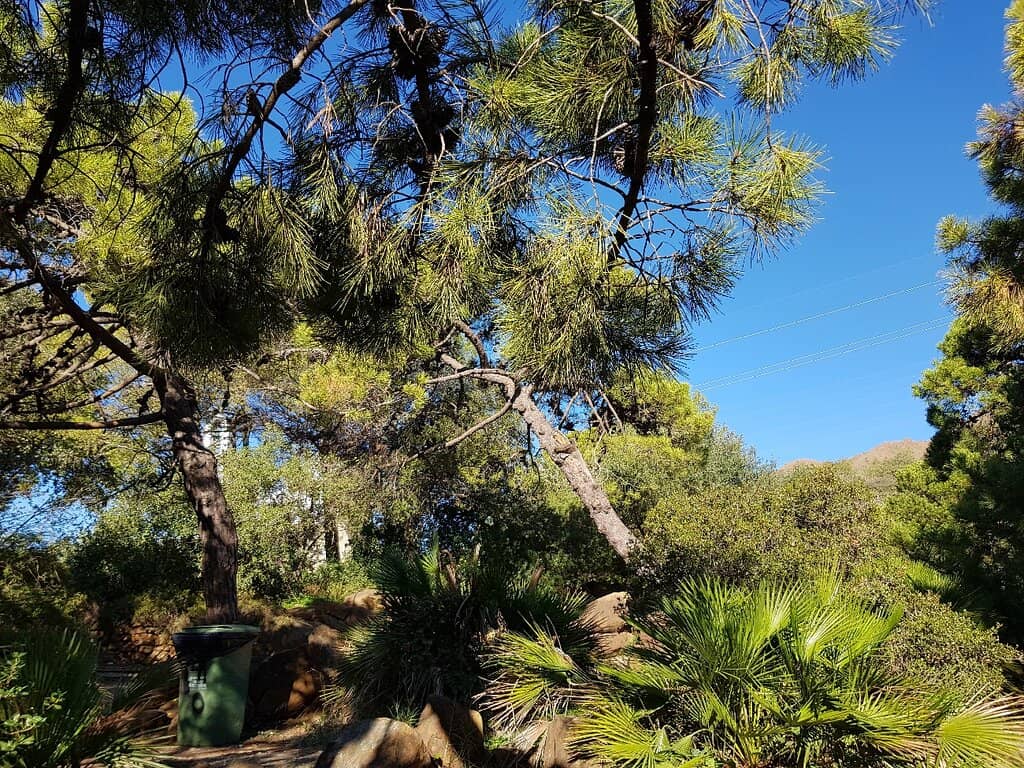 Children's Playground
